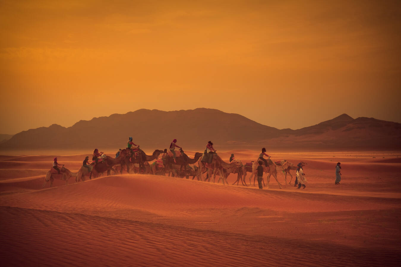 Караван на восток. Caravan Marocco. Картинка пустыня вечером. Караван красивые картинки. Фото пустыня факел ведет Караван ночь.