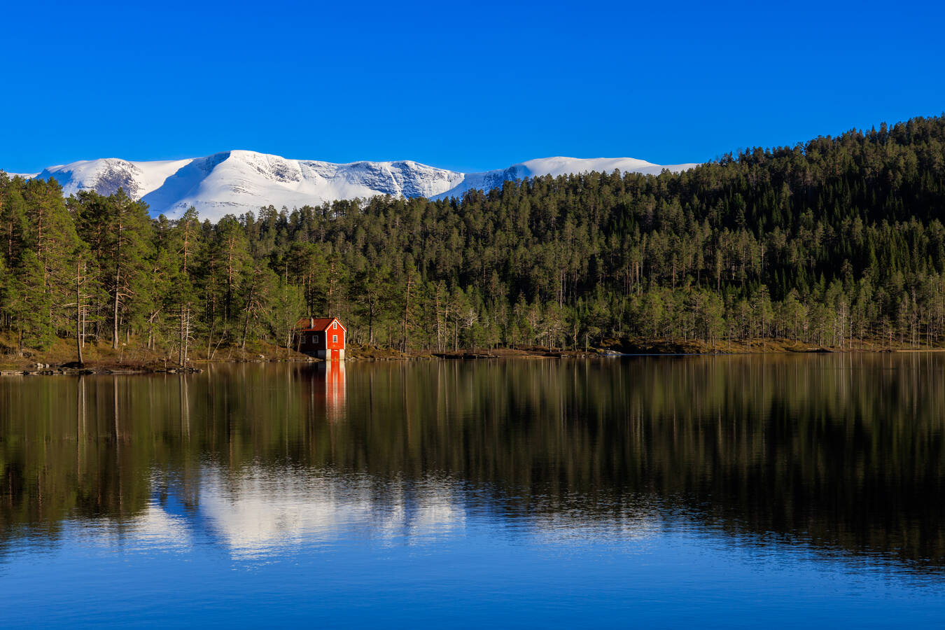 Travel & Landscapes Photography