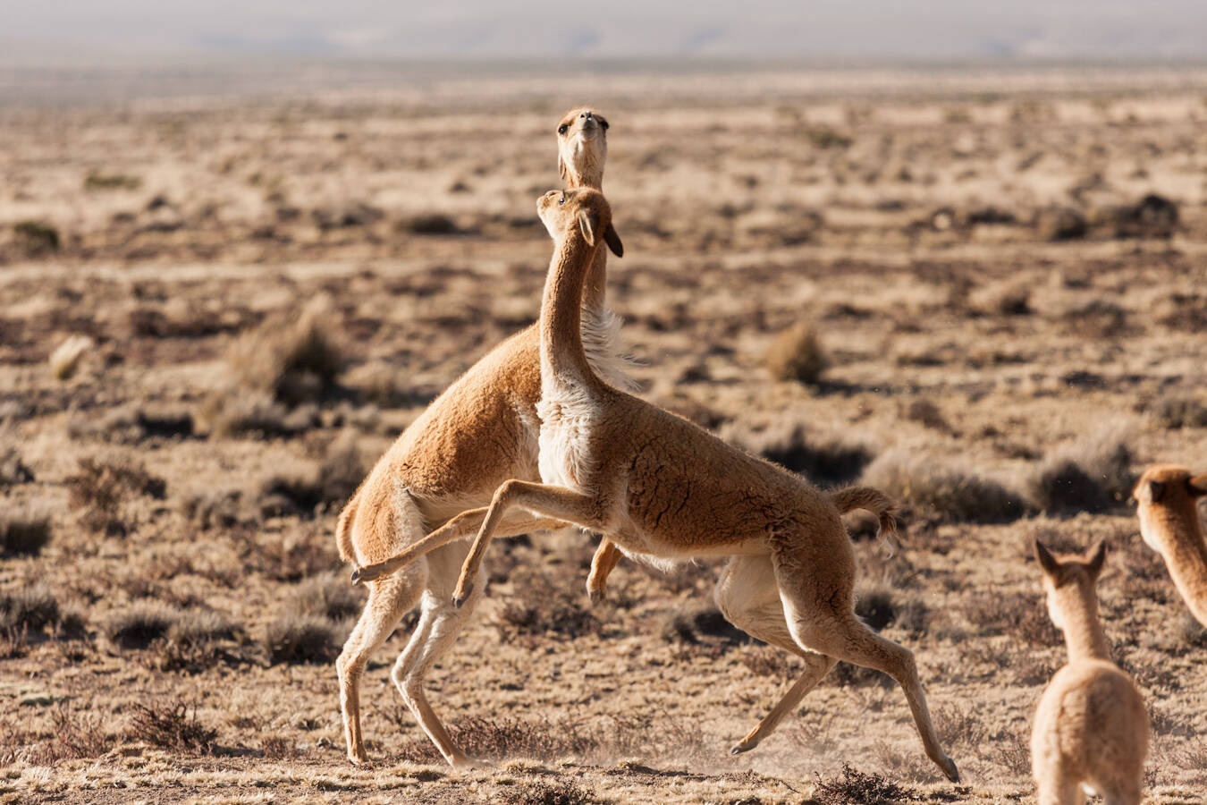 Travel & Landscapes Photography