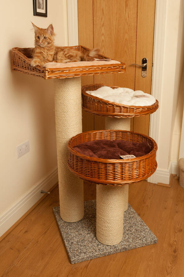 Commercial Photography