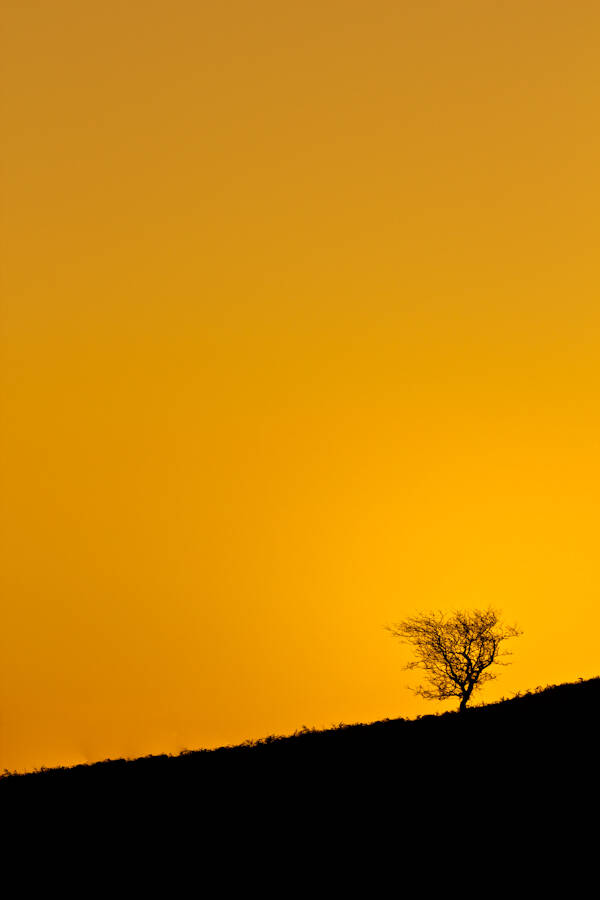 Travel & Landscapes Photography