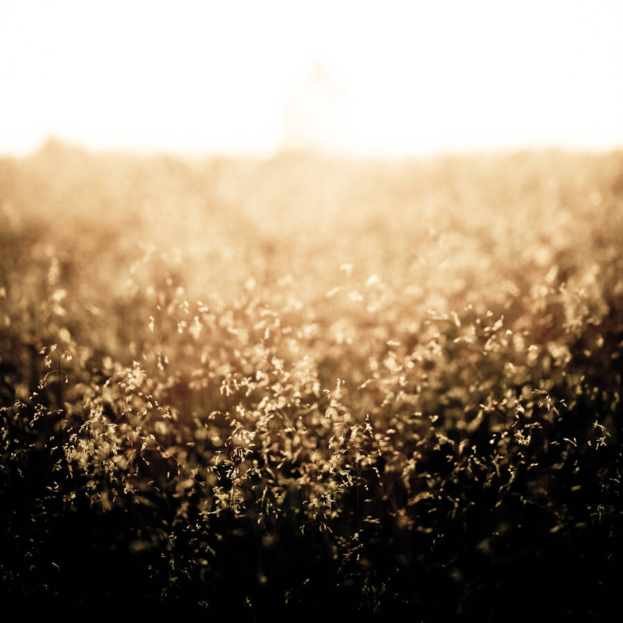 Travel & Landscapes Photography