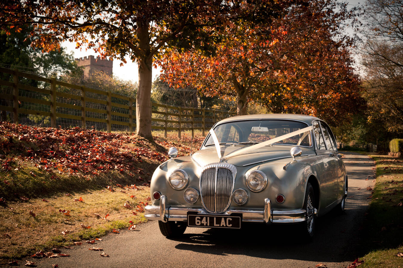 Commercial Photography