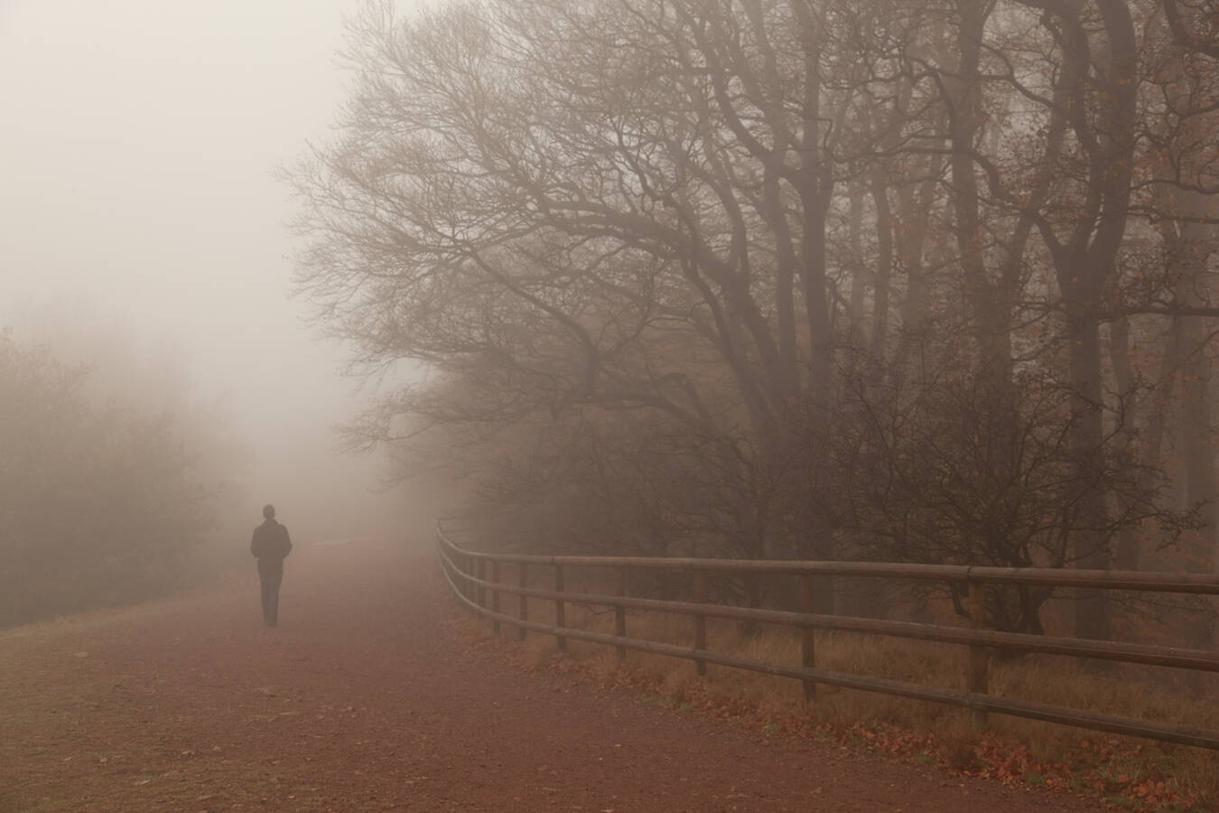 Travel & Landscapes Photography